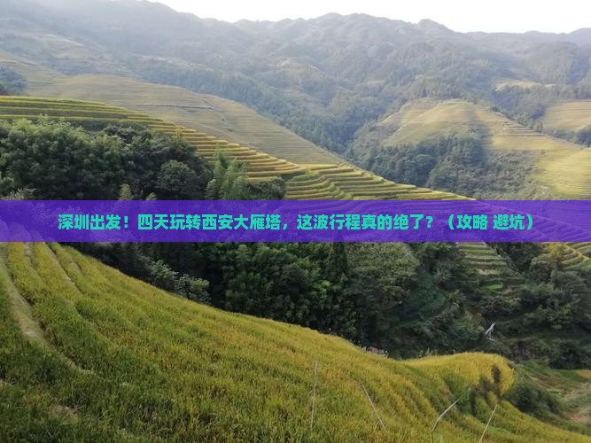 深圳去西安大雁塔四日游