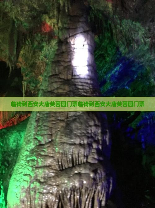 临猗到西安大唐芙蓉园门票