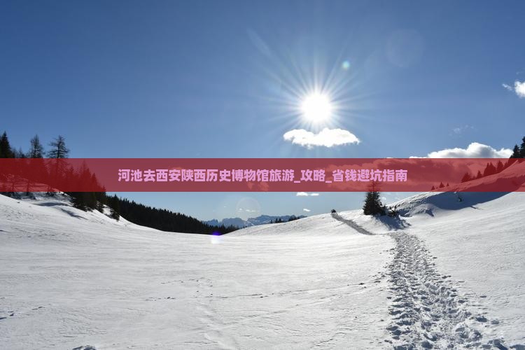 河池去西安陕西历史博物馆旅游