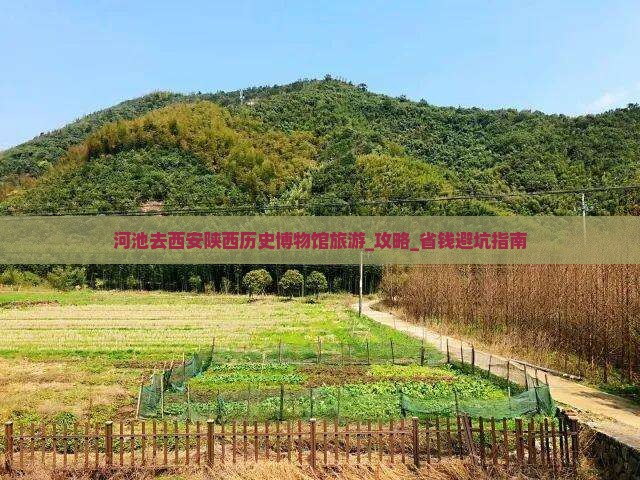 河池去西安陕西历史博物馆旅游