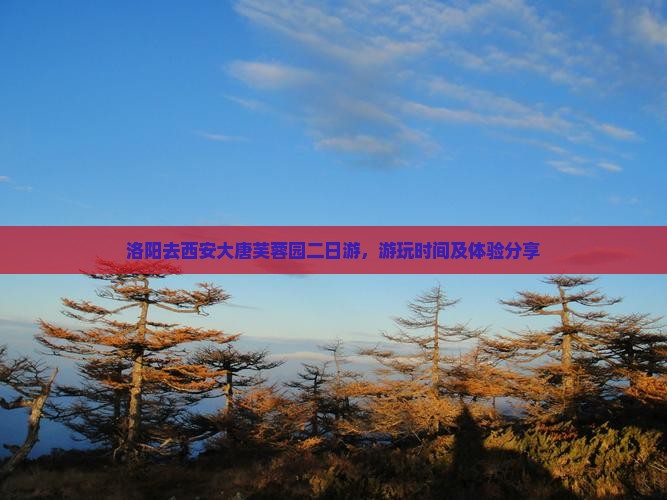 洛阳去西安大唐芙蓉园二日游