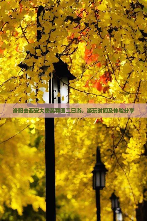 洛阳去西安大唐芙蓉园二日游