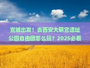 宣城到西安大明宫国家遗址公园自由团