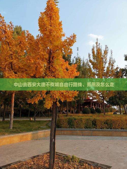 中山去西安大唐不夜城自由行