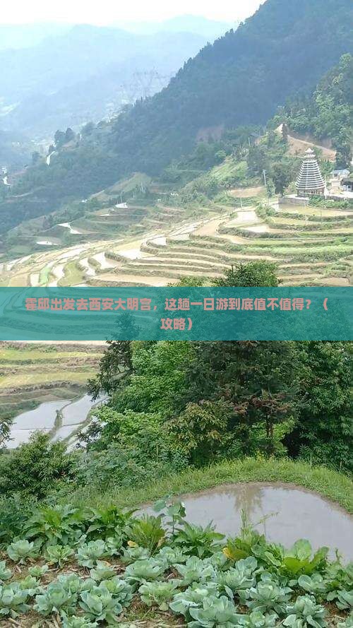霍邱到西安大明宫国家遗址公园一日游
