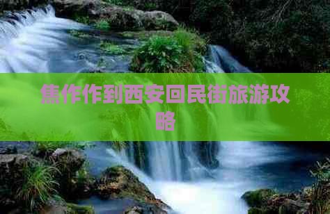 焦作到西安回民街个人游