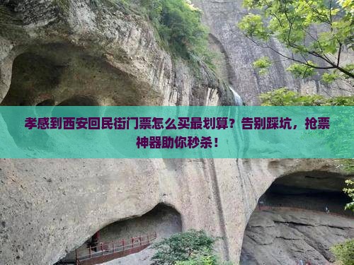 孝感到西安回民街门票