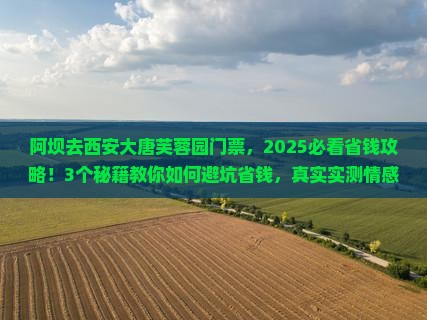 阿坝去西安大唐芙蓉园门票