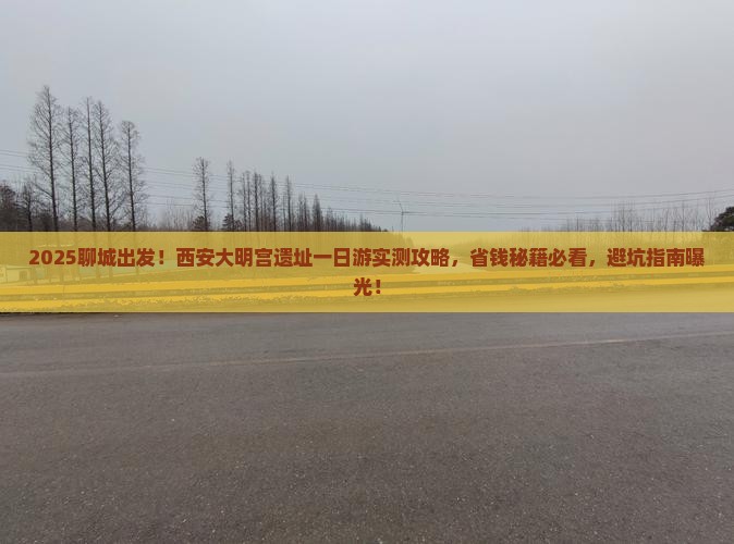 聊城到西安大明宫国家遗址公园团体旅游