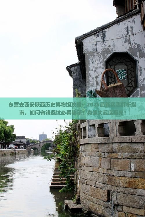 东营去西安陕西历史博物馆攻略