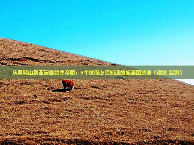 双鸭山到西安秦始皇帝陵博物院大型旅游团