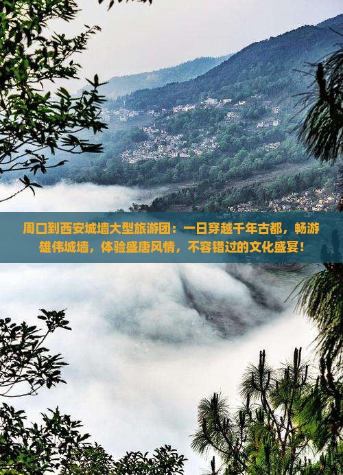周口到西安城墙大型旅游团