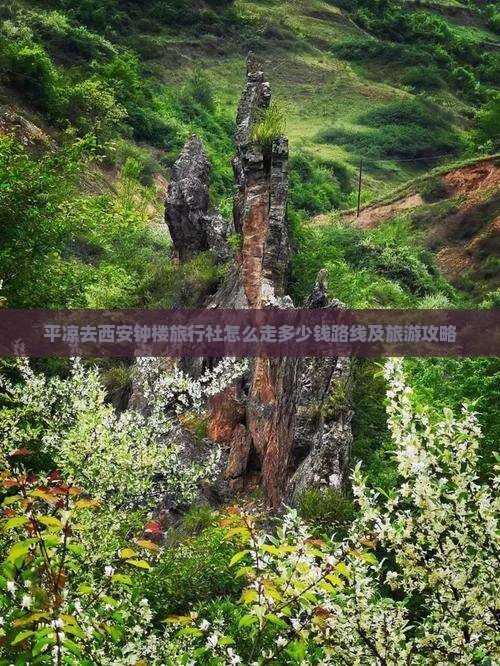 平凉去西安钟楼旅行社