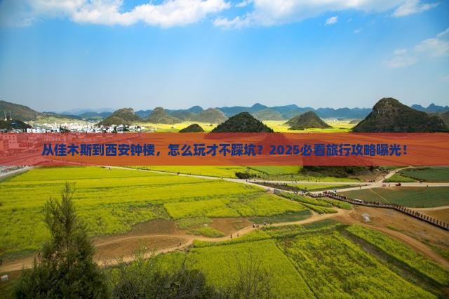 佳木斯到西安钟楼旅行社