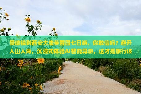 景德镇到西安大唐芙蓉园七日游
