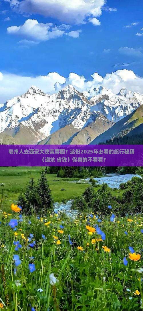 亳州到西安大唐芙蓉园必去地