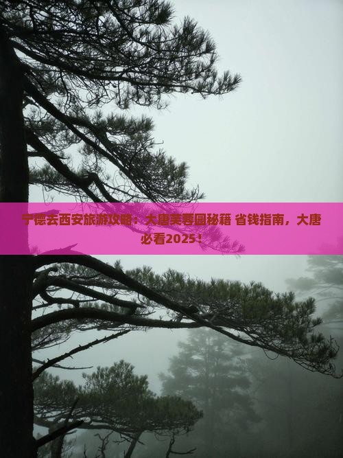 宁德去西安大唐芙蓉园大型旅游团