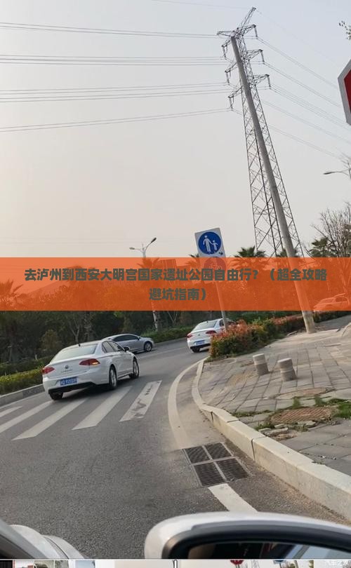 泸州去西安大明宫国家遗址公园自由团