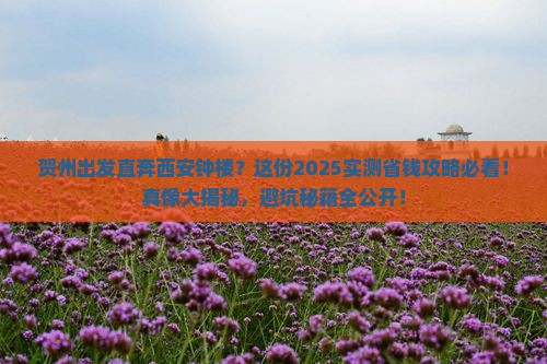 贺州去西安钟楼旅行社