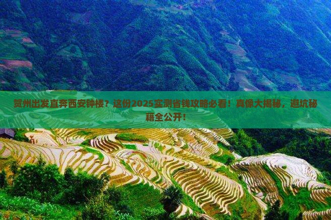 贺州去西安钟楼旅行社