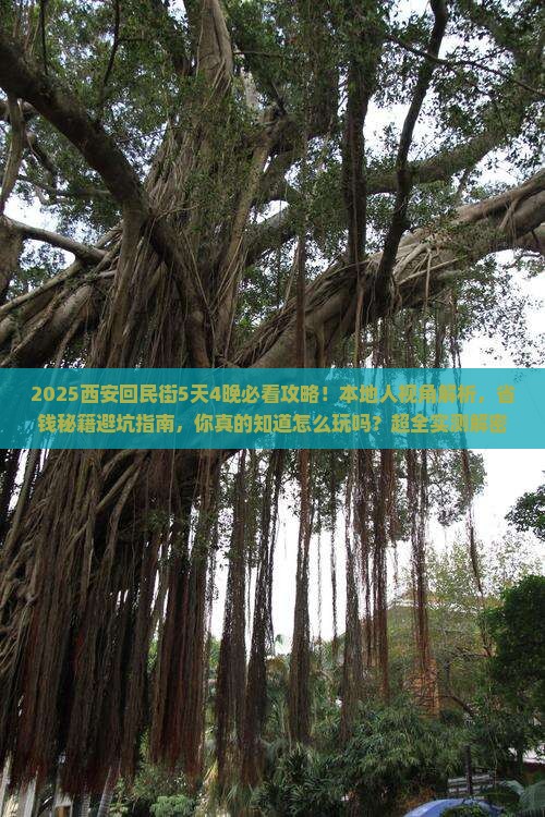 绥化到西安回民街旅行社