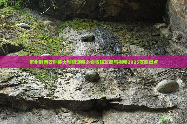 滨州到西安钟楼大型旅游团
