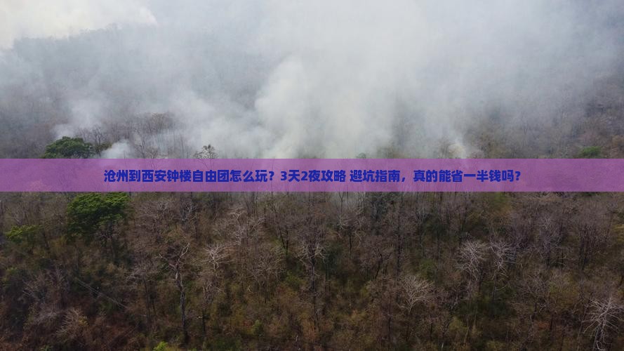 沧州到西安钟楼自由团