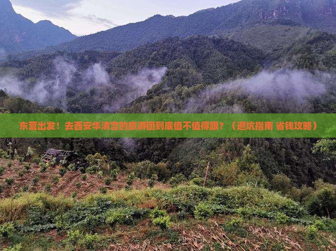 东营去西安华清宫大型旅游团