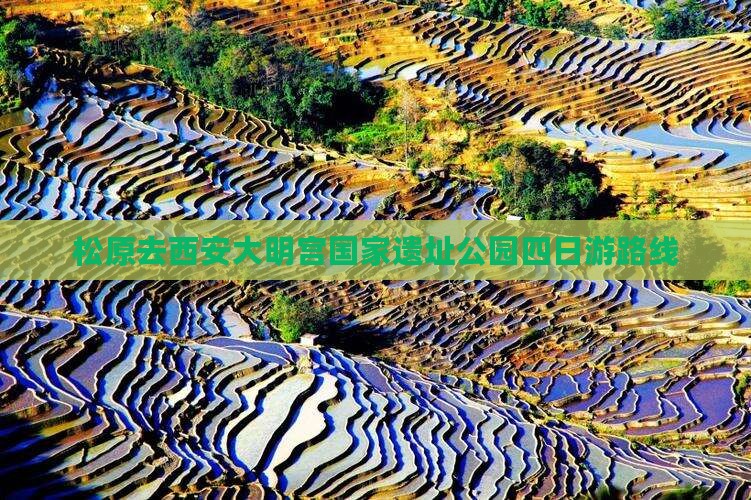 松原去西安大明宫国家遗址公园四日游