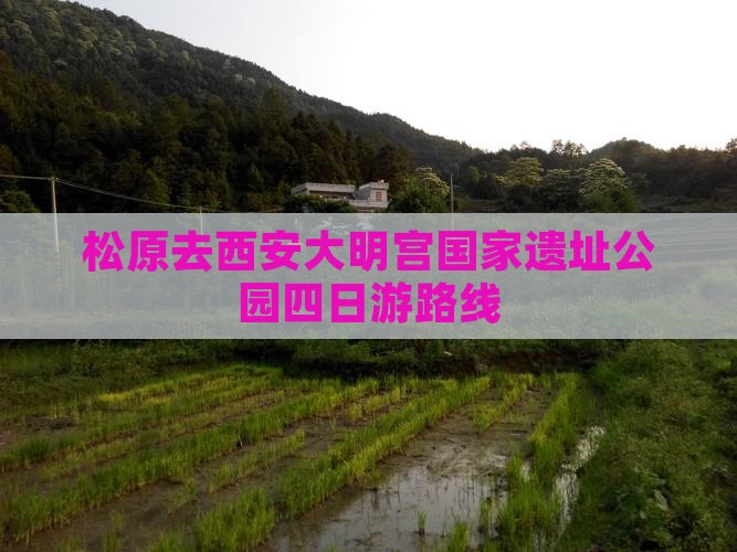 松原去西安大明宫国家遗址公园四日游