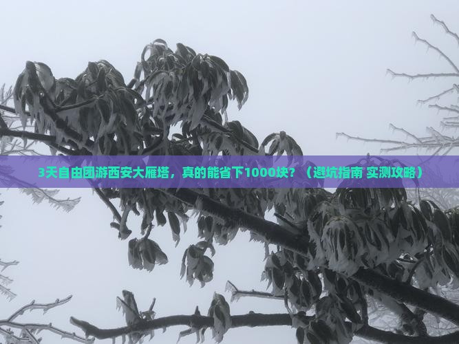 中秋节去西安大雁塔自由团