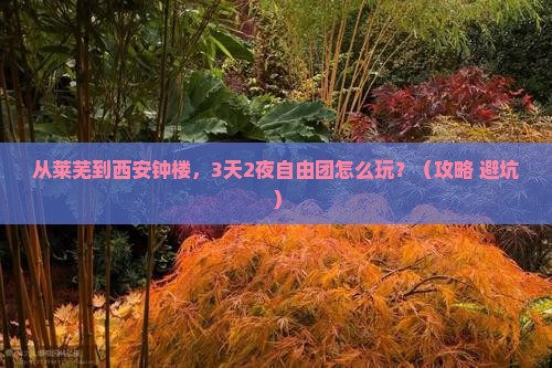 莱芜到西安钟楼自由团