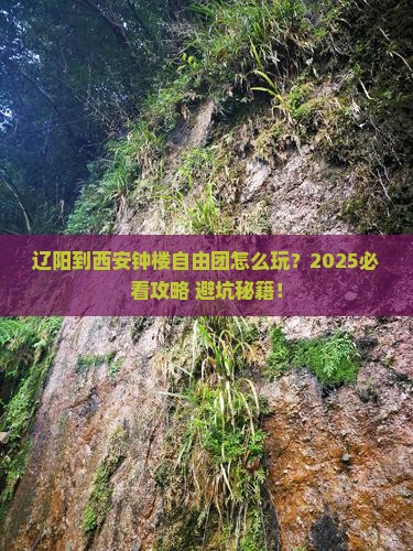 辽阳到西安钟楼自由团