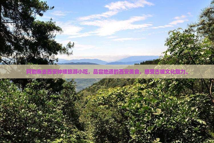 阿勒泰去西安钟楼旅游小吃