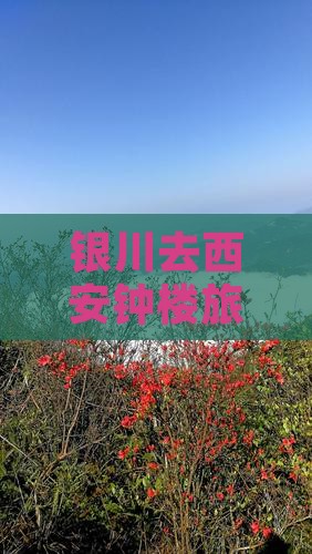 银川去西安钟楼景点