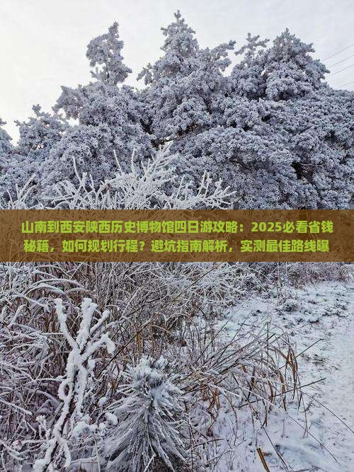 山南到西安陕西历史博物馆四日游