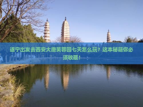 遂宁去西安大唐芙蓉园七日游