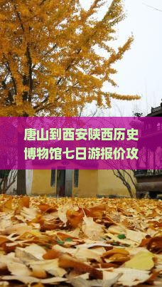 唐山到西安陕西历史博物馆七日游