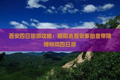 朝阳去西安秦始皇帝陵博物院四日游