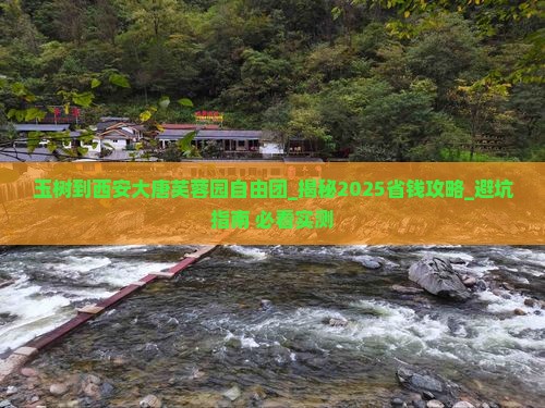 玉树到西安大唐芙蓉园自由团