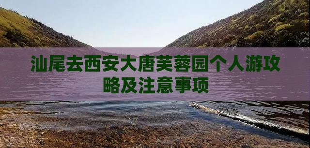 汕尾去西安大唐芙蓉园个人游