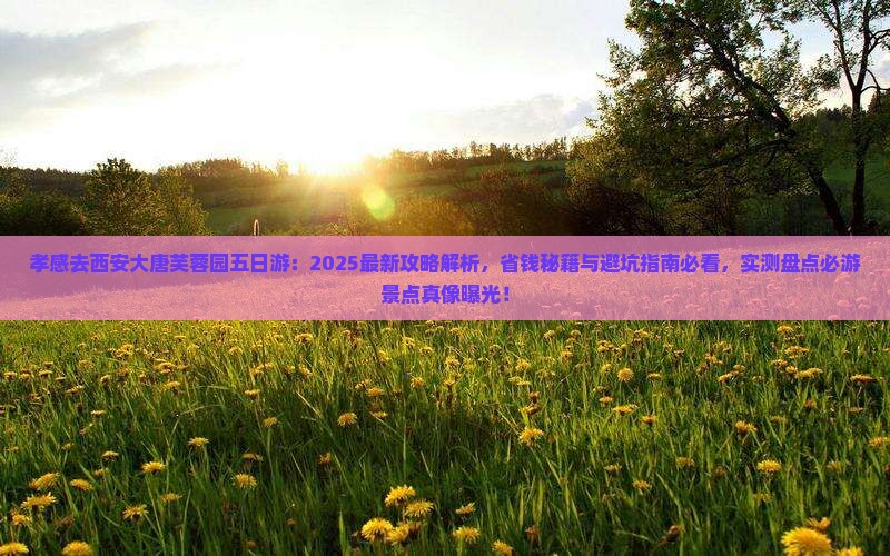 孝感去西安大唐芙蓉园五日游