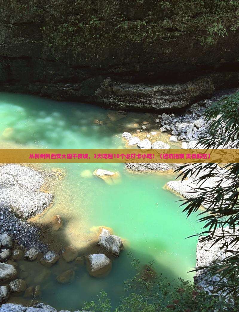 来宾到西安大唐不夜城旅游小吃