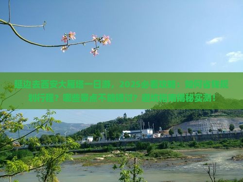 延边去西安大雁塔一日游