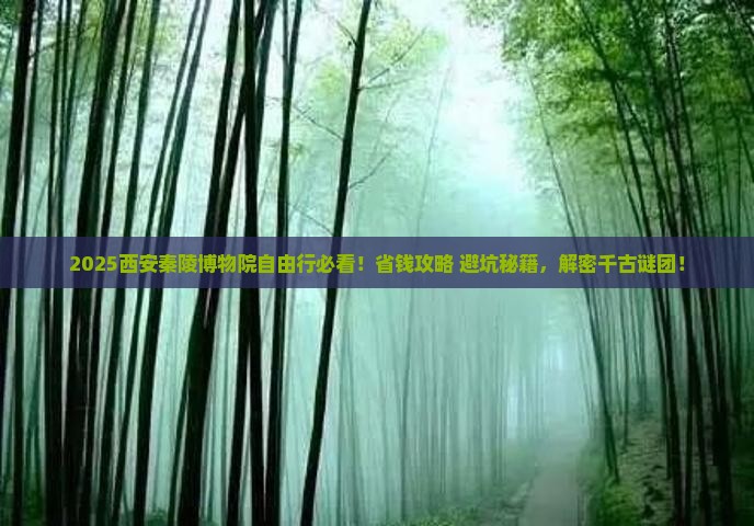 诸城去西安秦始皇帝陵博物院自由团