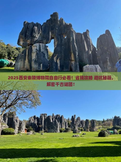诸城去西安秦始皇帝陵博物院自由团