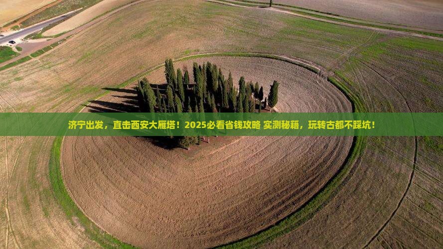 济宁到西安大雁塔五日游