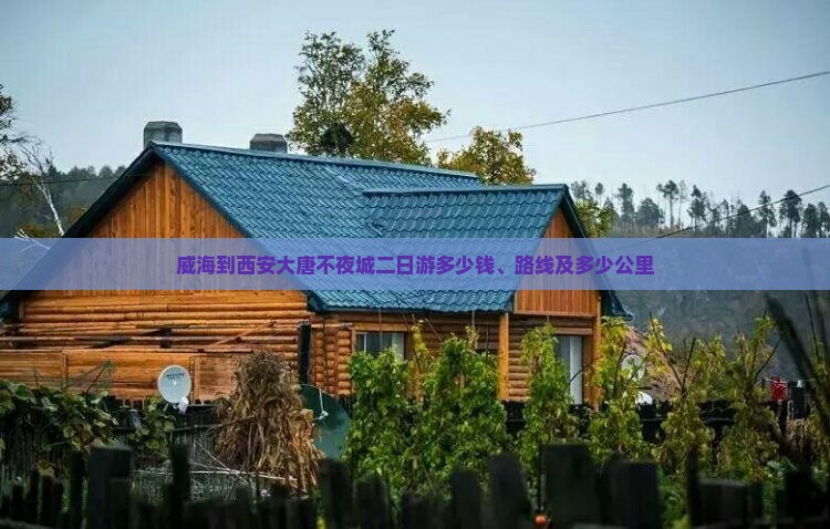 威海到西安大唐不夜城二日游