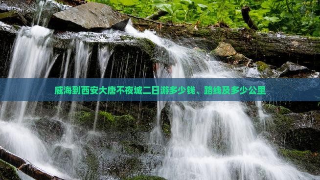 威海到西安大唐不夜城二日游