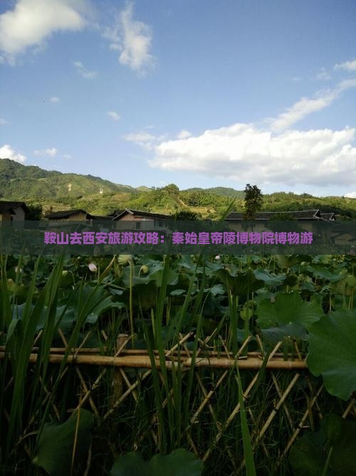 鞍山去西安秦始皇帝陵博物院旅游